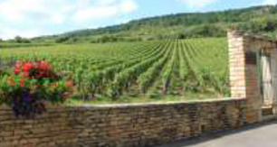 Bourgogne - Chicche di Champagne
