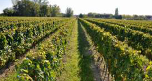 Vallée de la Loire